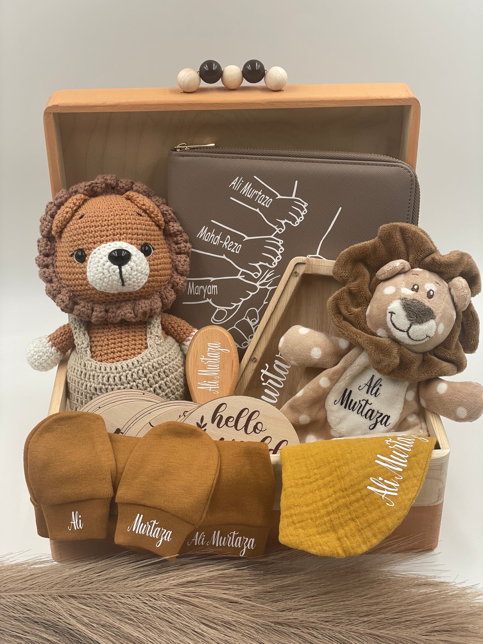 Newbornset "großer Löwe"