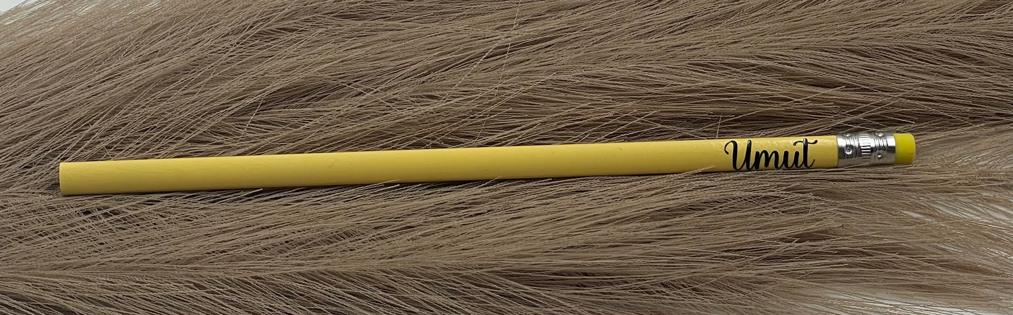 Pastellfarbenen Bleistifte