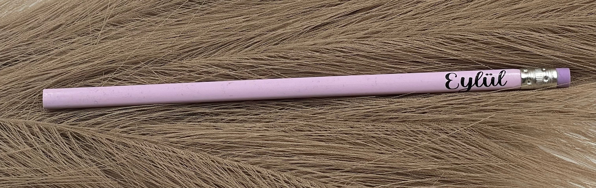 Pastellfarbenen Bleistifte